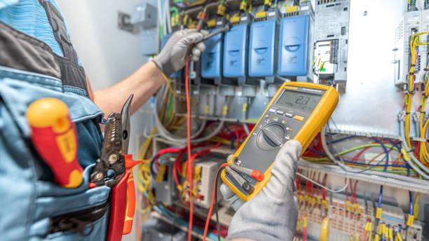 Best Electric Panel Repair  in Ogden, IA